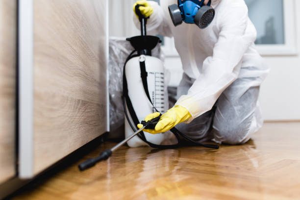 Best Cockroach Control Services  in St Gabriel, LA