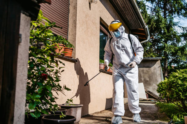 Best Pest Prevention Services  in St Gabriel, LA