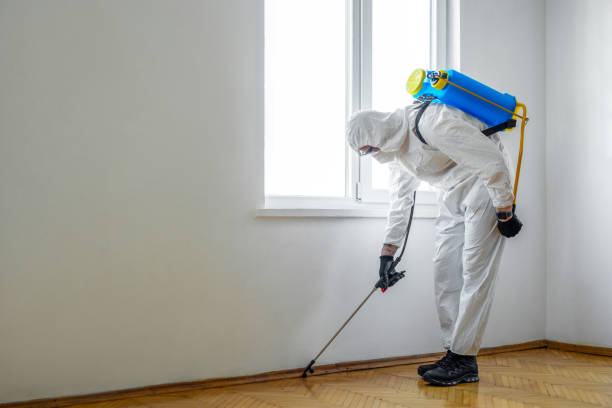 Best Best Pest Control Companies  in St Gabriel, LA
