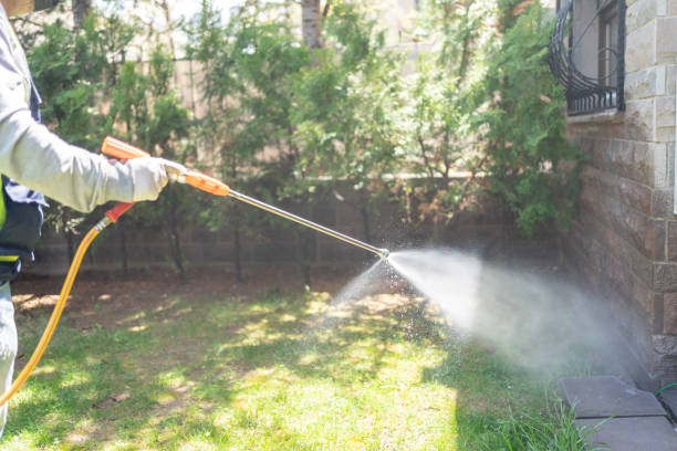 Best Pest Inspection Near Me  in St Gabriel, LA