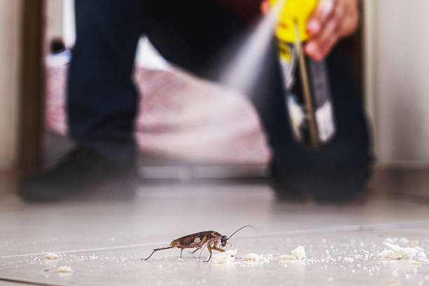 Best Pest Removal Services  in St Gabriel, LA